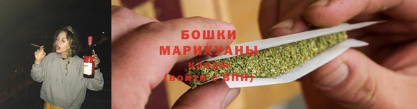 трава Арсеньев