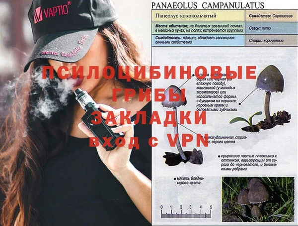 твердый Аркадак